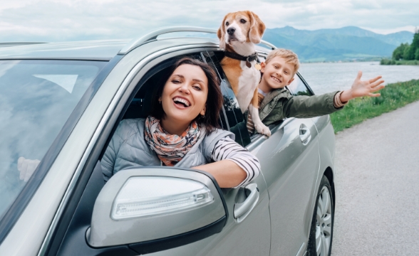 Car Rental