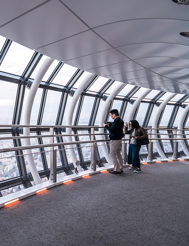 Tokyo Tower sightseeing Japan tour