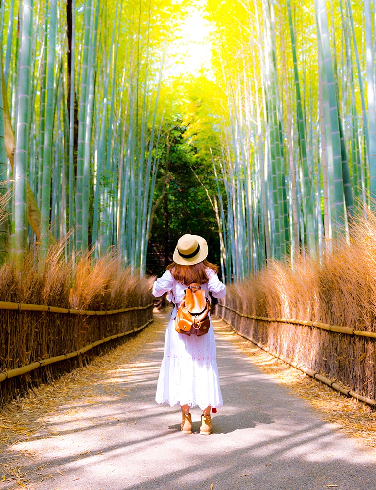Explore Japan with Al Tayer Travel