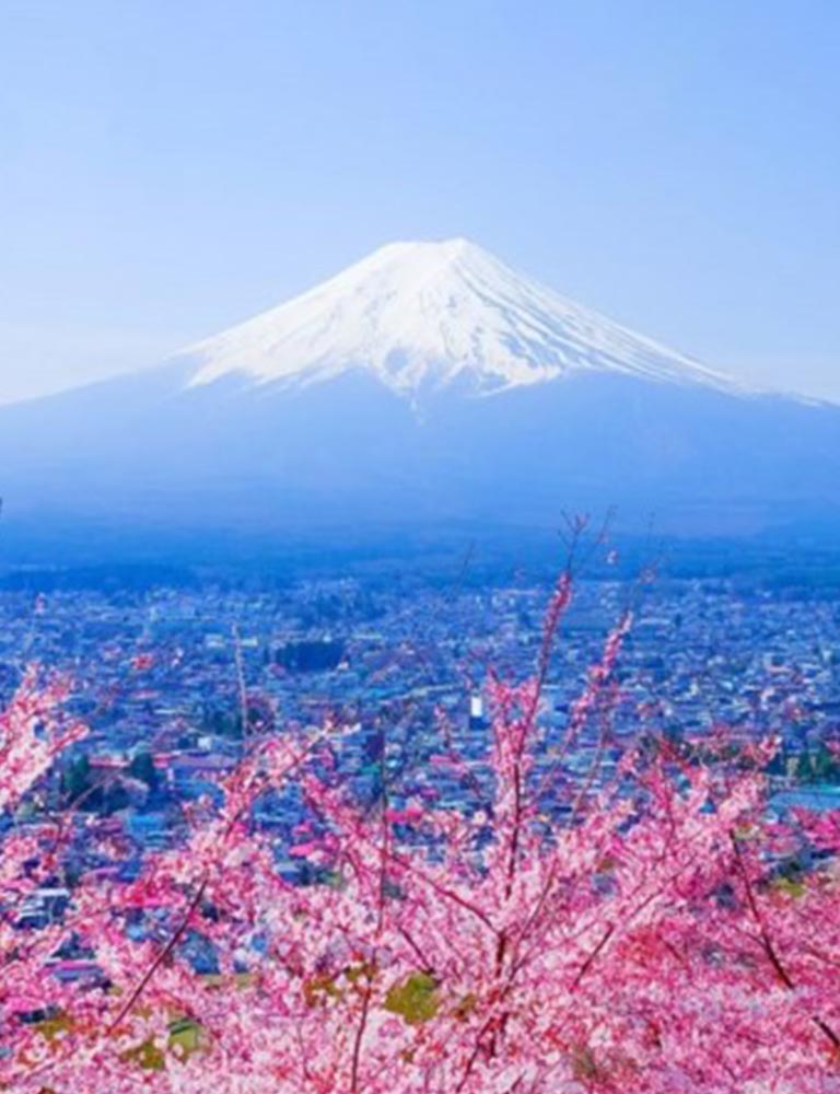 Mount Fuji Japan scenic view holiday package