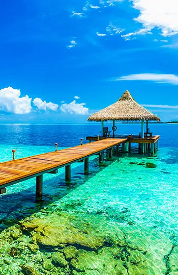 Maldives | Special Promotion