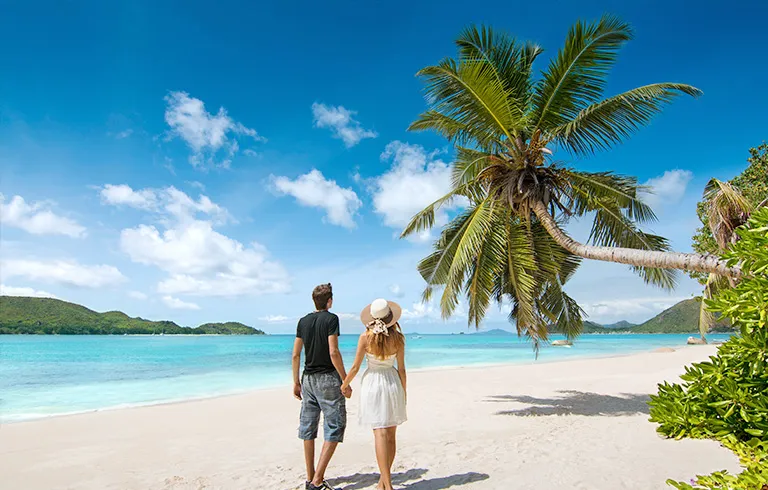 Experience Creole