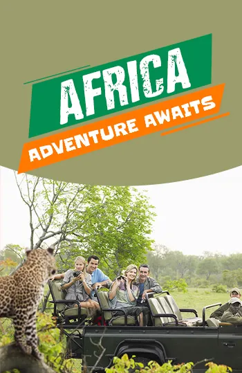 Summer Deals |  Africa Awaits..