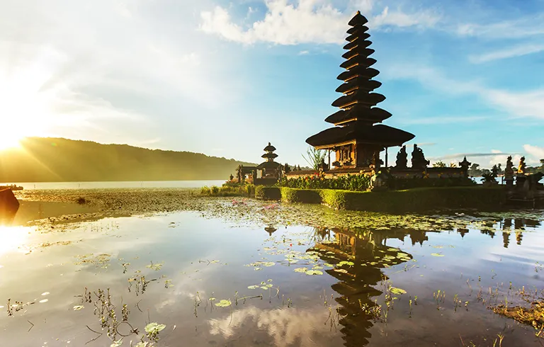 Bali Bali