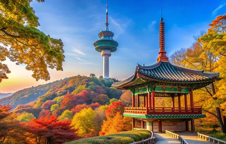 Seoul & Busan