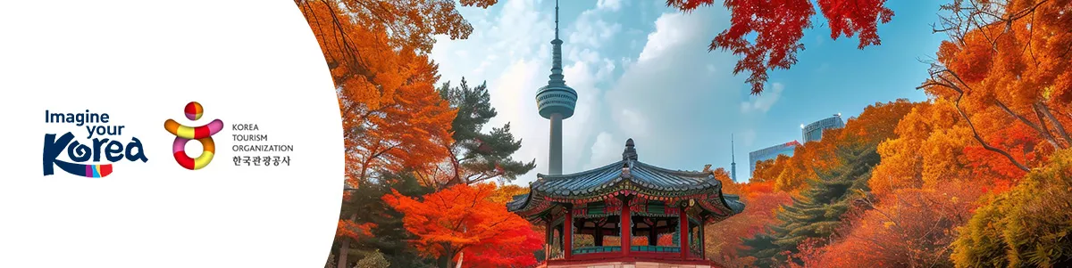 A Luxury Journey to South Korea!