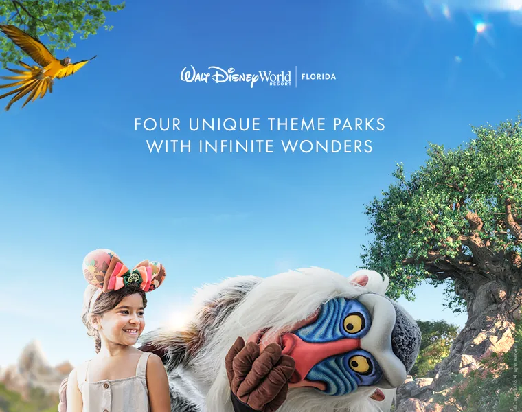 walt-disney-world-florida-from-dubai-al-tayer-holidays