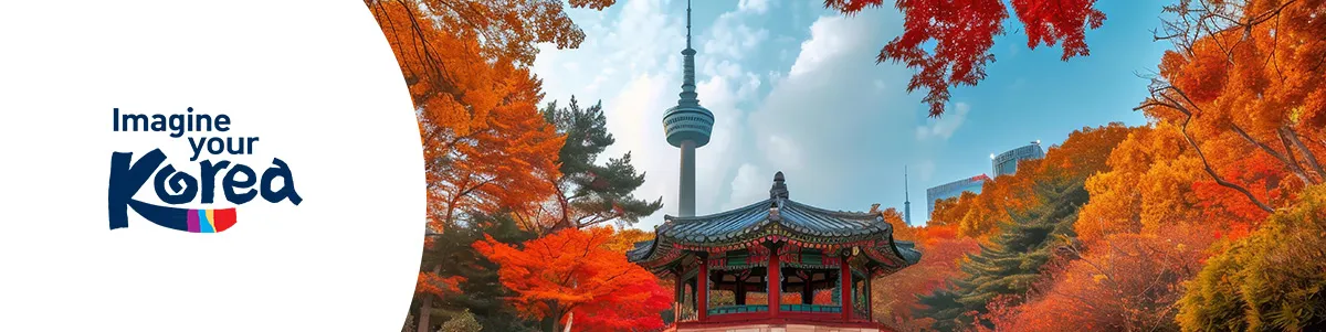 A Luxury Journey to South Korea!